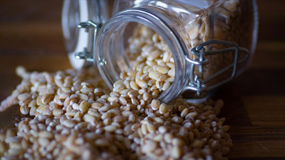 Suriye, Türkiye’den 56,2 milyon dolarlık hububat ihraç etti