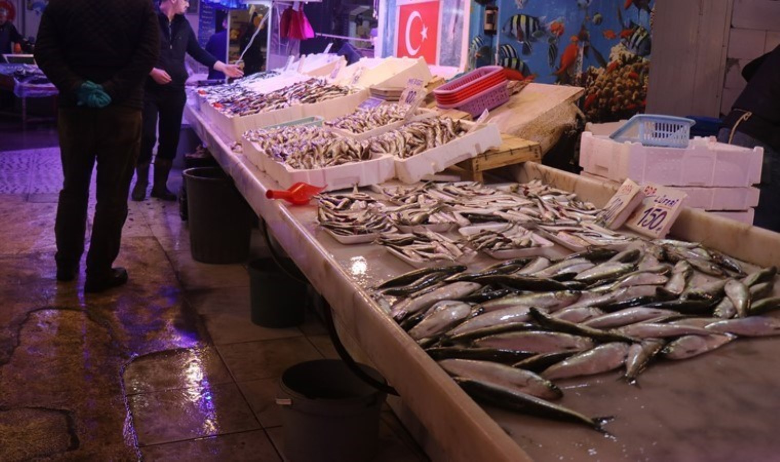 Tarihte en bol sezon: Fiyatı 150 TL’ye düştü….