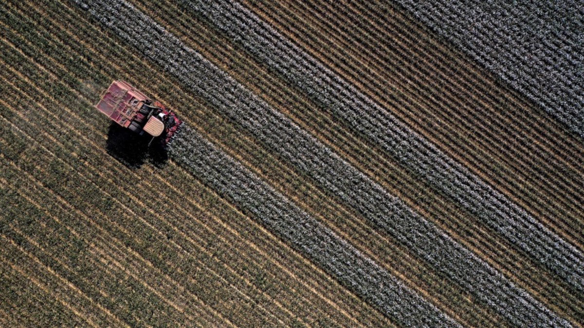Tarımda 100 projeye 461 milyon lira hibe ödenecek