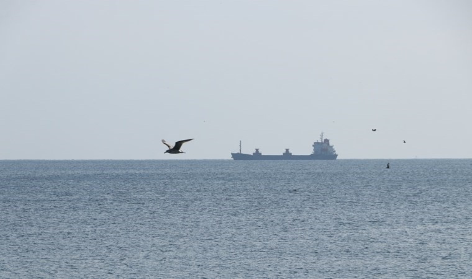 Tekirdağ’da deniz ulaşımı normale döndü