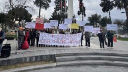 Tire-Belevi yolunda kamulaştırma nedeniyle ağaç kıyımına köylülerden tepki… “Zeytinlerimize dokunmayın”