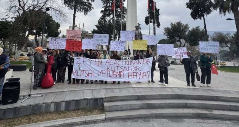 Tire-Belevi yolunda kamulaştırma nedeniyle ağaç kıyımına köylülerden tepki… “Zeytinlerimize dokunmayın”