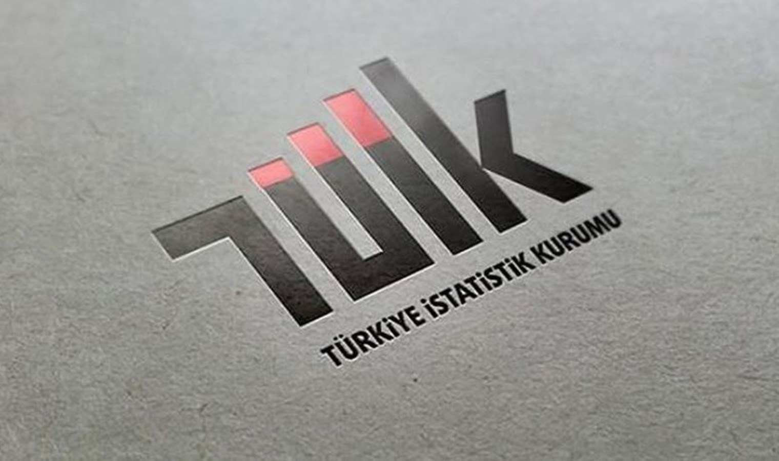 TÜİK, yarın ilk kez hakim karşısına çıkacak