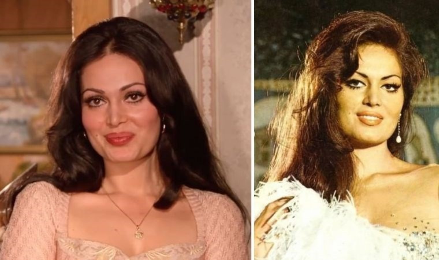 Türkan Şoray ‘Turkish Delight’ akımı hakkında konuştu!