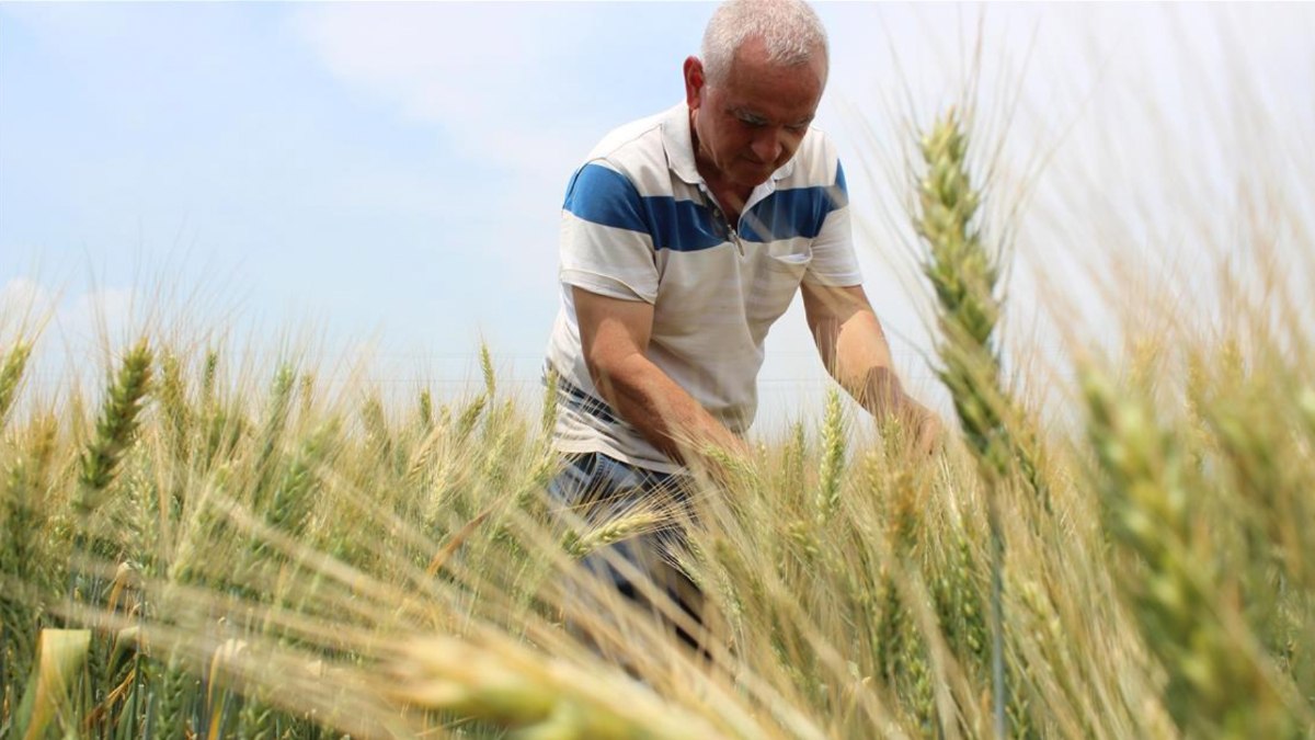 TZOB: Çiftçilerimizin girdi maliyetleri sürekli artıyor