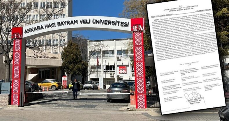 Üniversiteden pes dedirten karar! Köpek beslemek yasaklandı: Barınaklara gönderilecekler!