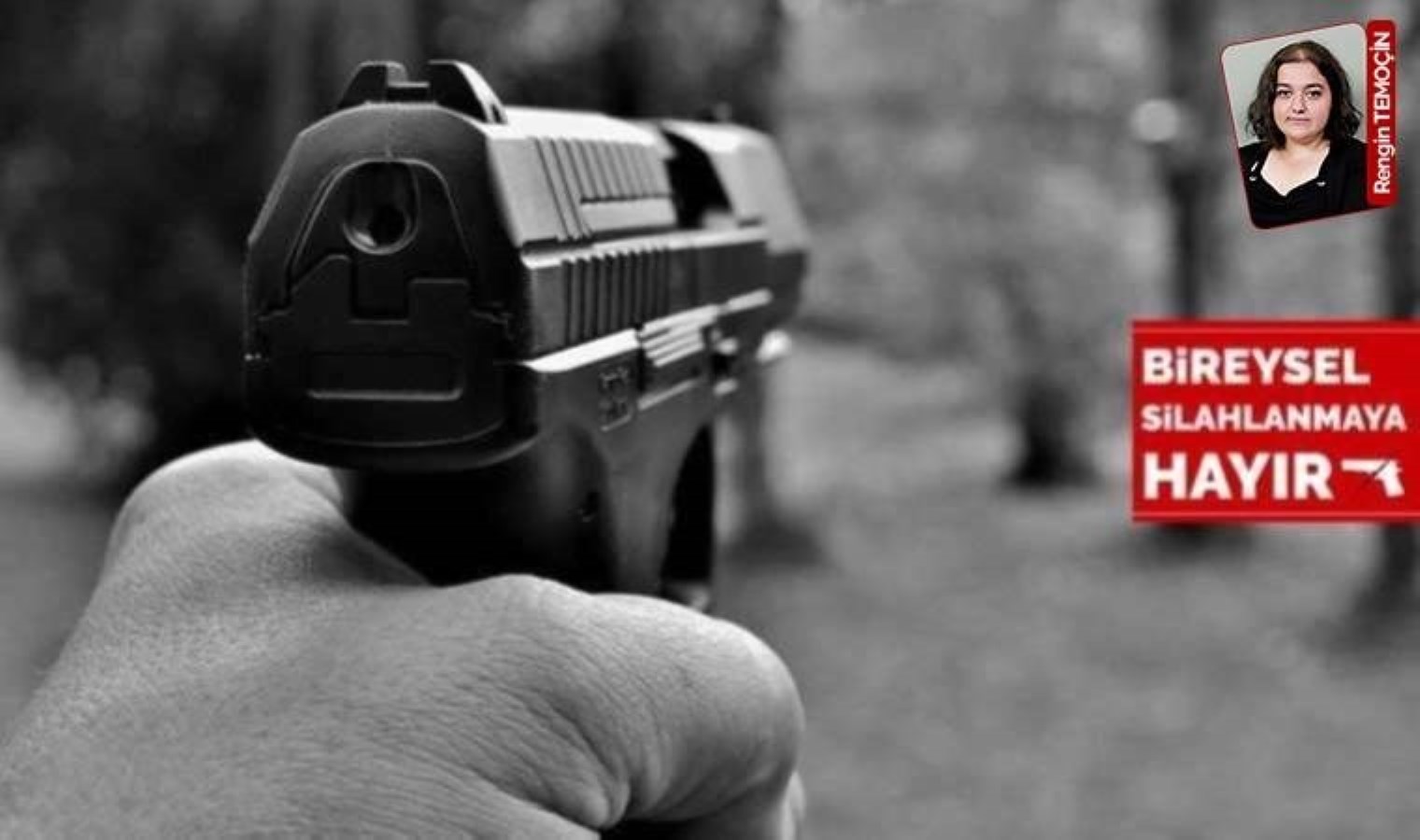 Uzmanlar tüfeğe erişimin kolay olmaması gerektiğine vurgu yaptı: ‘Tehdit av yönetmeliği’