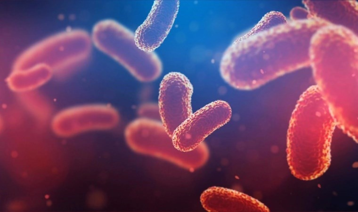 Yapay zeka, yıllardır araştırılan ‘süper bakteri’ sorununu iki günde çözdü