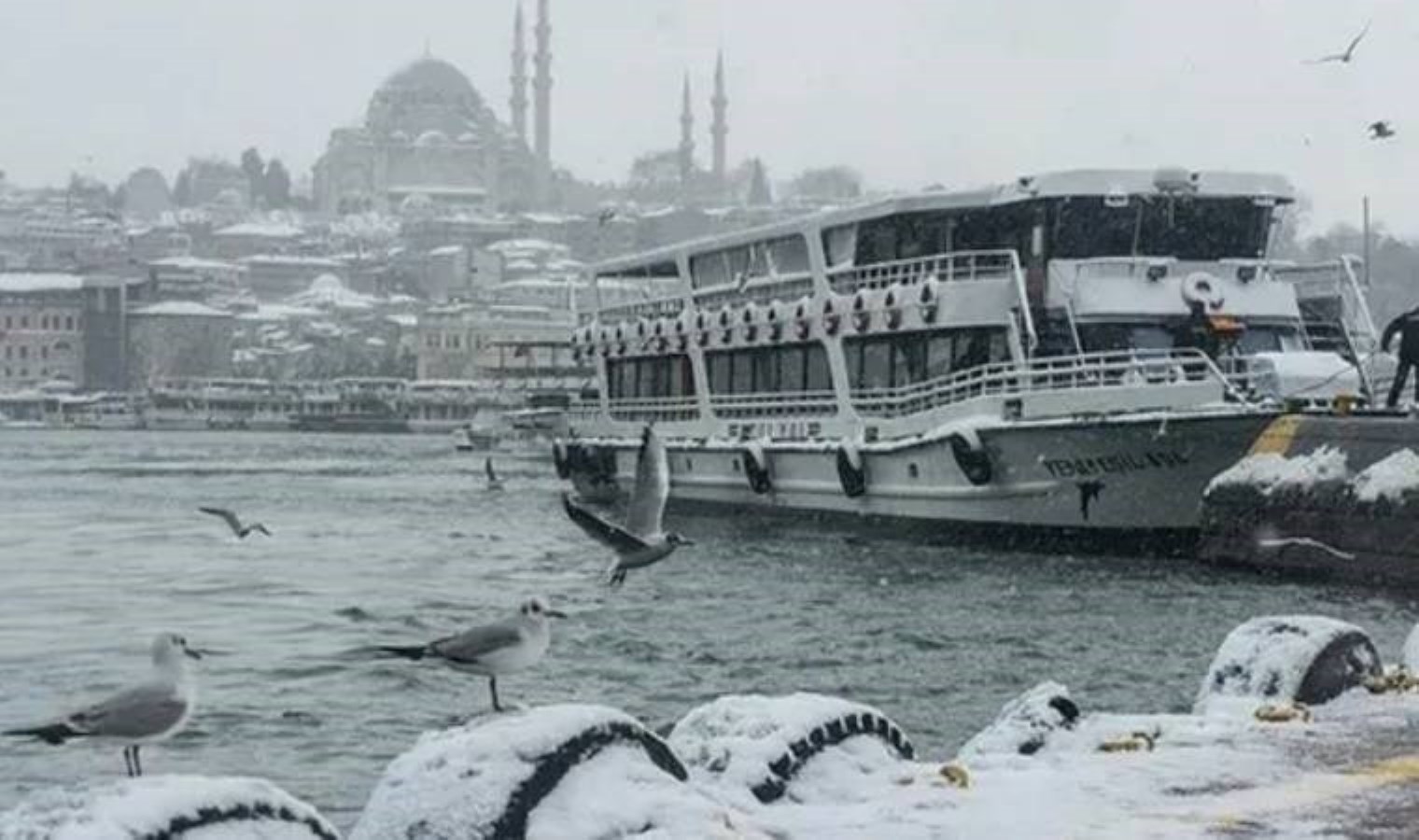 Yoğun tipi nedeniyle vapur seferleri iptal edildi