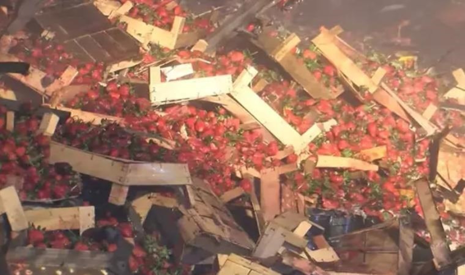 1 milyon TL değerindeki 6 ton çilek yüklü TIR alev aldı