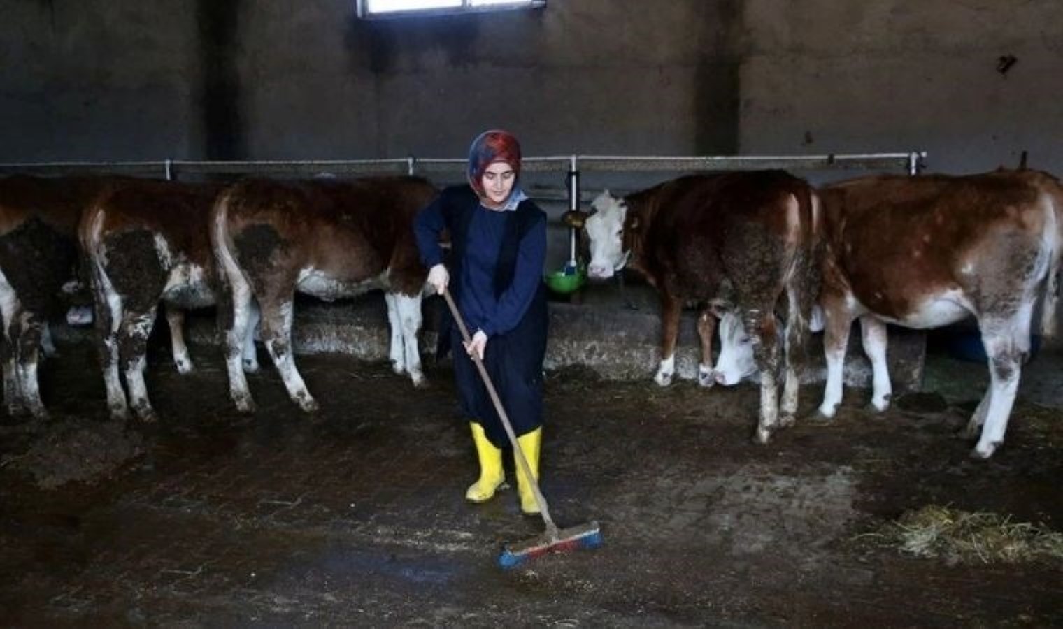 250 bin lira hibe desteğini 6’ya katladı: Üretip tüm ilçeye satıyorlar