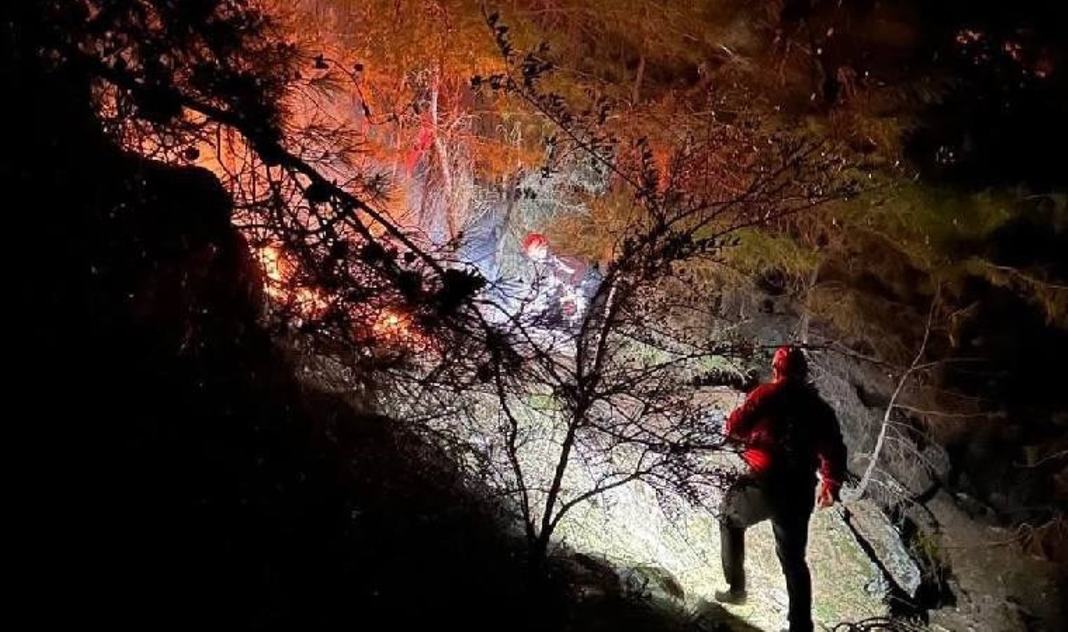 Alanya Kalesi’ndeki ormanlık alanda mahsur kalmışlardı: Yeni gelişme!