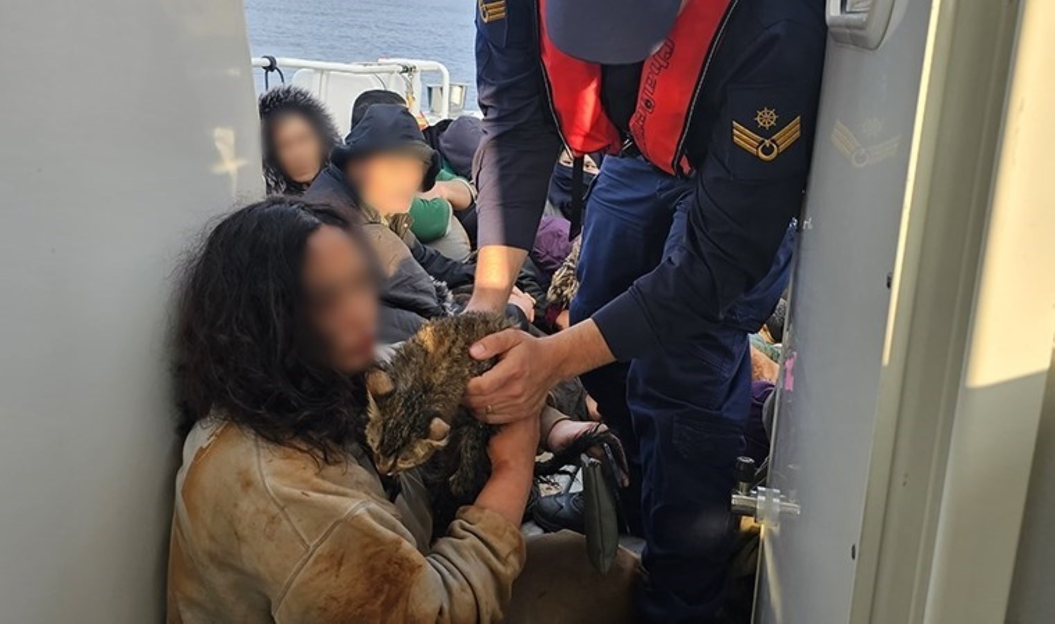 Antalya’da ekiplerden operasyon: Kaçak göçmen, yanında ‘kedisiyle’ yakalandı