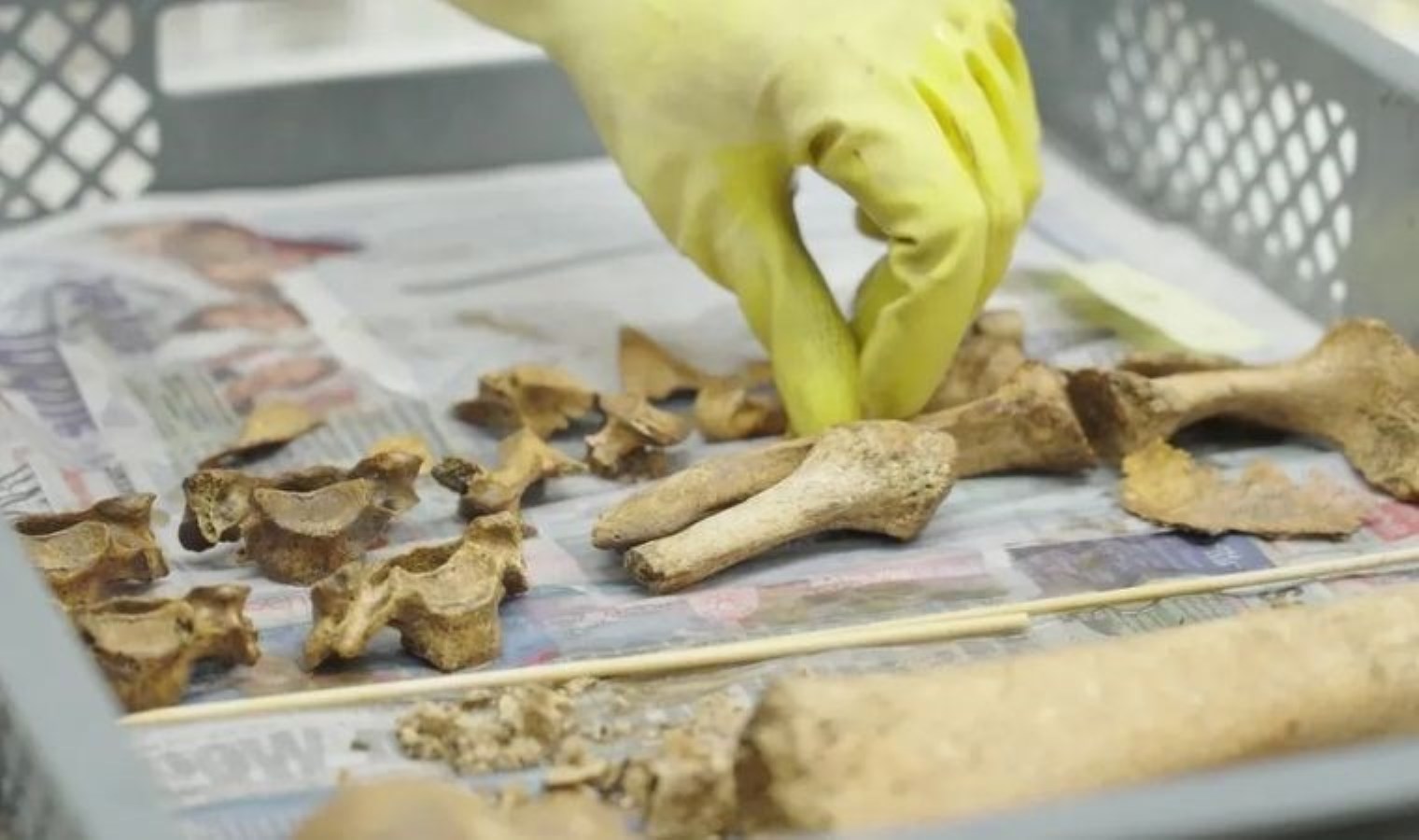 Arkeolojik keşifte ‘kanlı’ tarih ortaya çıktı: 150 Roma askerinin toplu mezarı bulundu