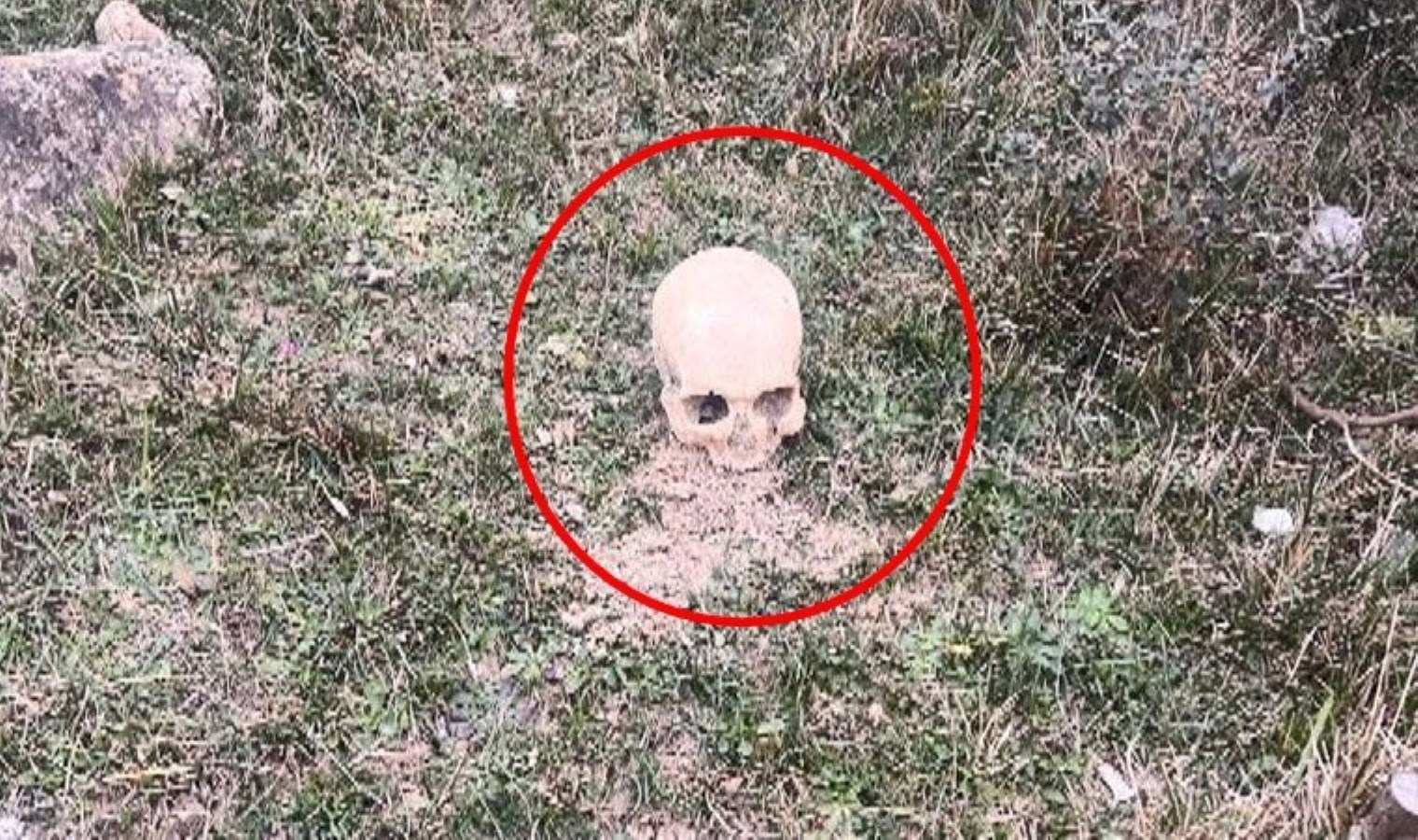 Arnavutköy’de ‘insan kafatası’ bulundu: Polis ekipleri harekete geçti!