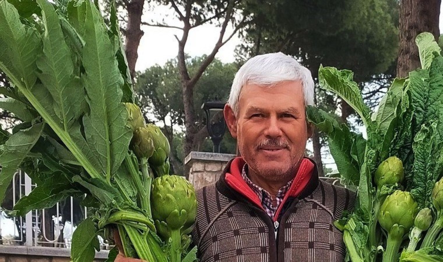 Aydın’da 6500 dönüm alanda yetişiyor: Tanesi 70 TL