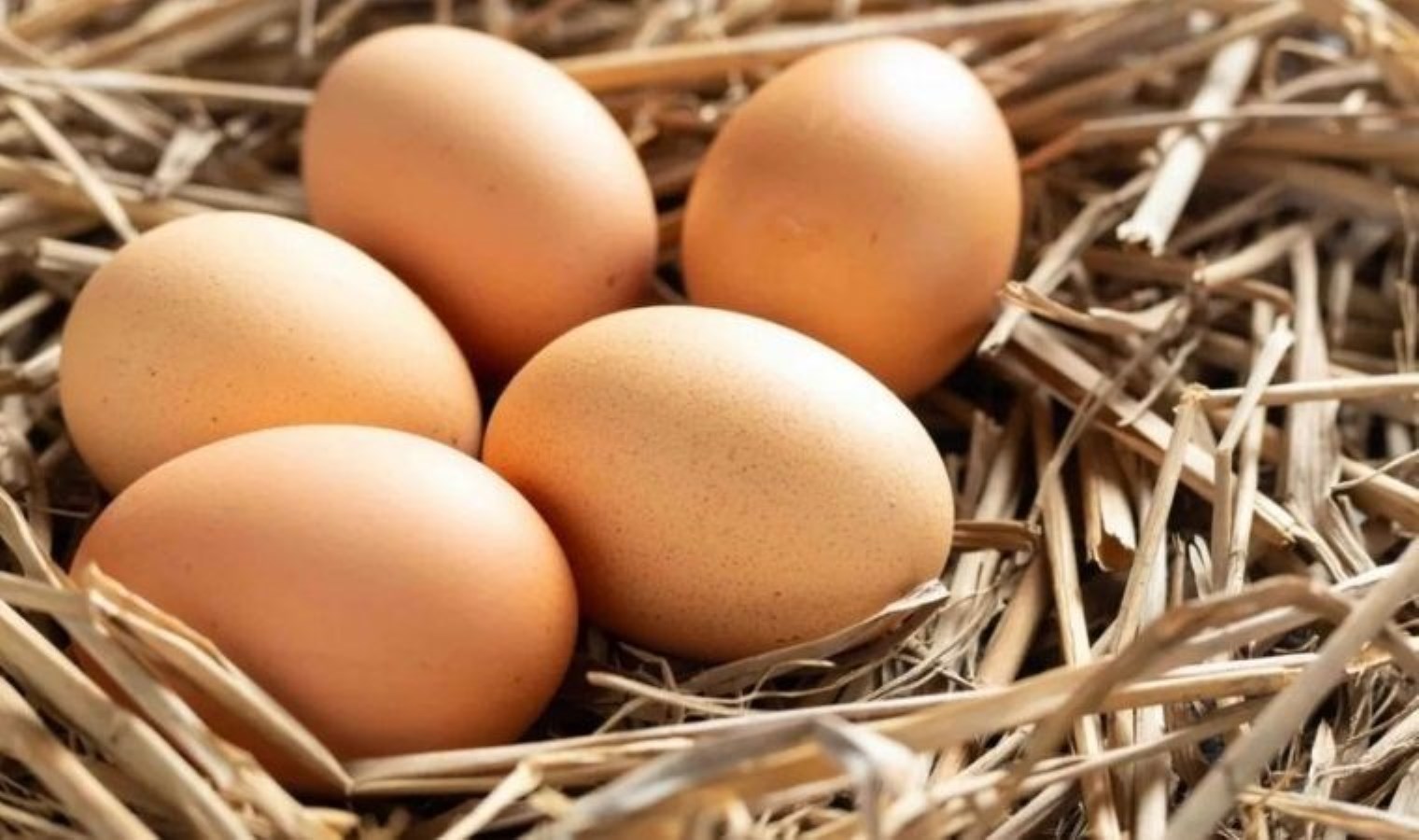 Bayat yumurta nasıl anlaşılır? İşte en pratik yöntemler…