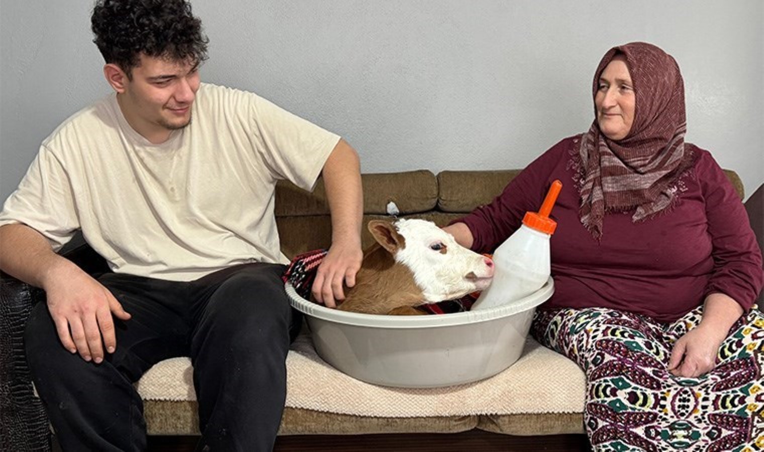 ‘Bayram’ ismini verdiği buzağıya üşümesin diye evde bakıyor