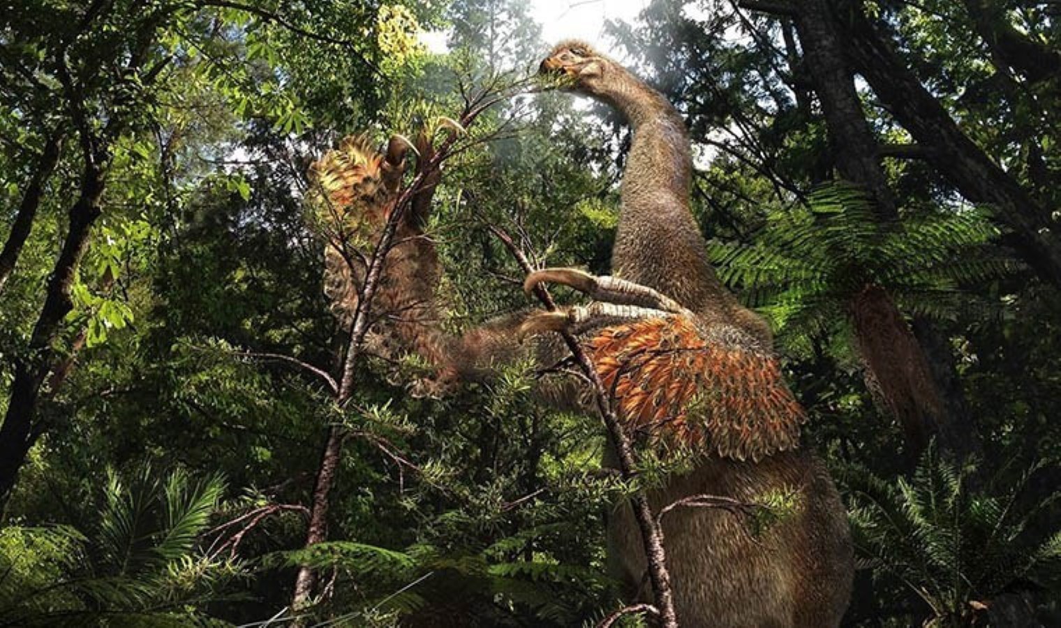 Bilim insanları yeni bir dinozor türü keşfetti!