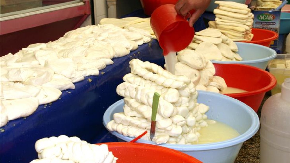 Bruselloz hastalığıyla mücadele yeni karar