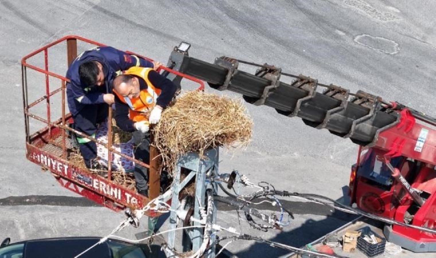 Büyükçekmece’de iş yerini ‘kirletiyor’ gerekçesiyle leylek yuvasını kaldırtan esnafa tutanak tutuldu