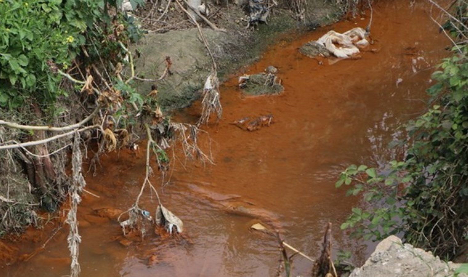 Ceyhan Nehri’nde tedirgin eden görüntü: Renkten renge büründü!