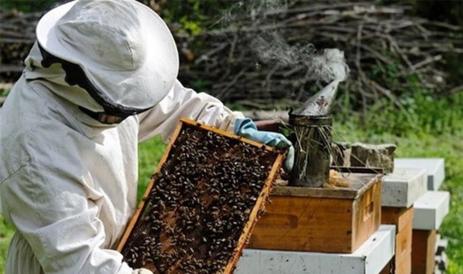 Dedesi ve babasından el aldığı arıcılığı sürdürüyor