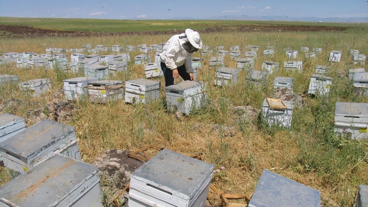 Diyarbakır’da çiftçiye 158 milyon TL hibe