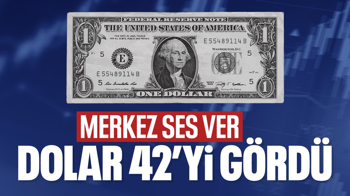Dolar 42 lirayı geçti