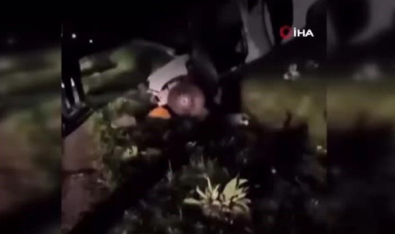 Düğün dönüşü facia… Otomobilin önüne çıkan domuz kazaya neden oldu: 1 ölü, 6 yaralı!