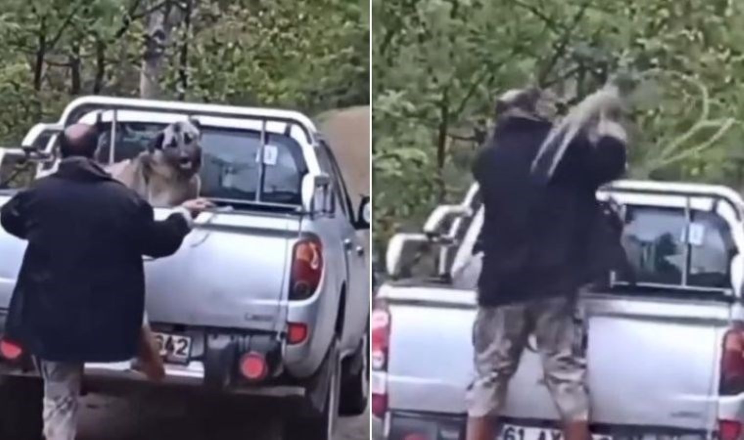 Dün gözaltına alınmıştı: Köpeğe şiddet uygulayan şahıs serbest bırakıldı