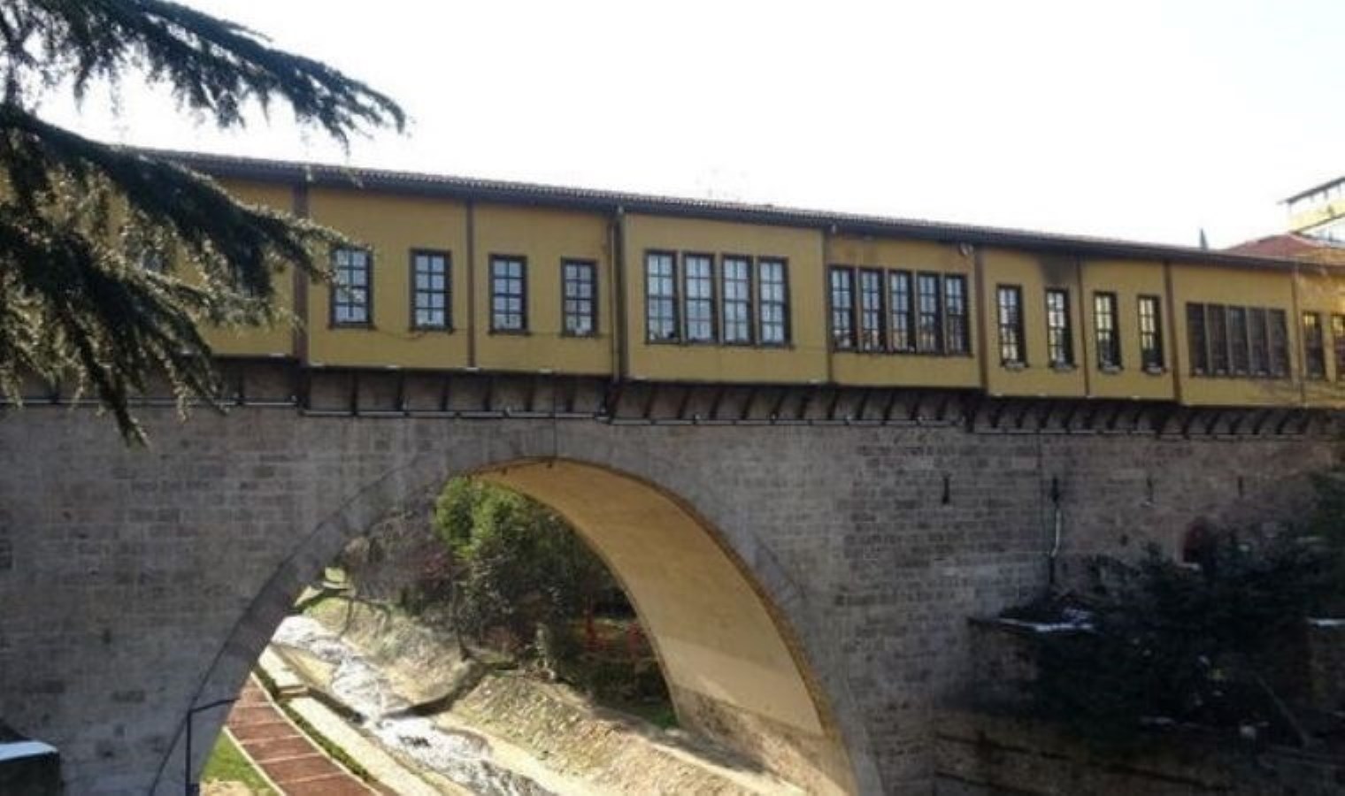 Dünyada 4 tane bulunuyor: Biri Bursa’da