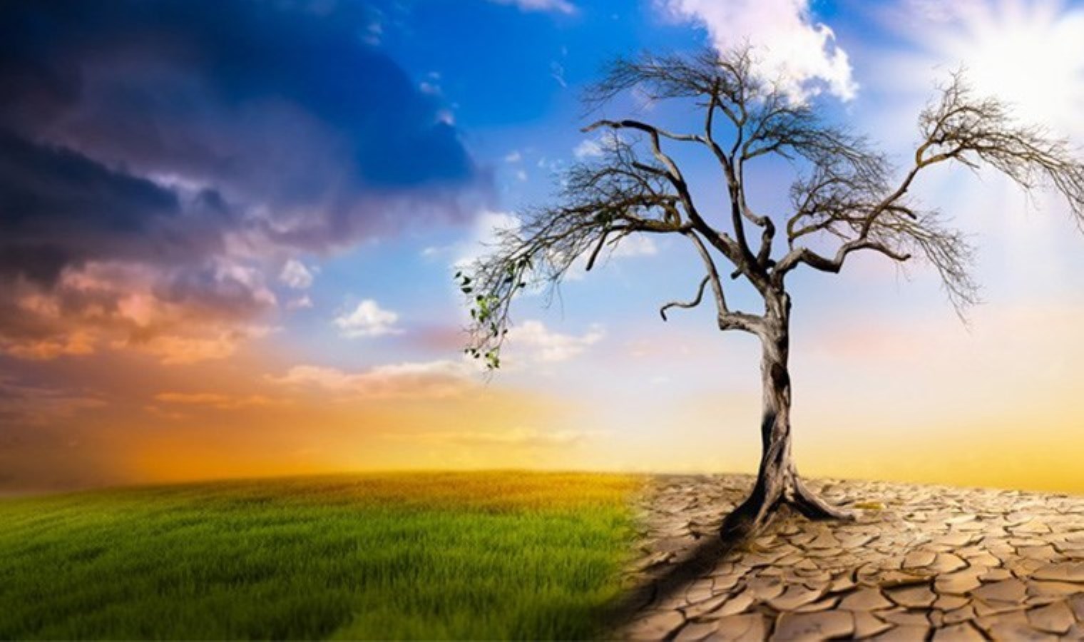 Dünyada her 5 kişiden 1’i iklim değişikliğinin etkilerini hissediyor