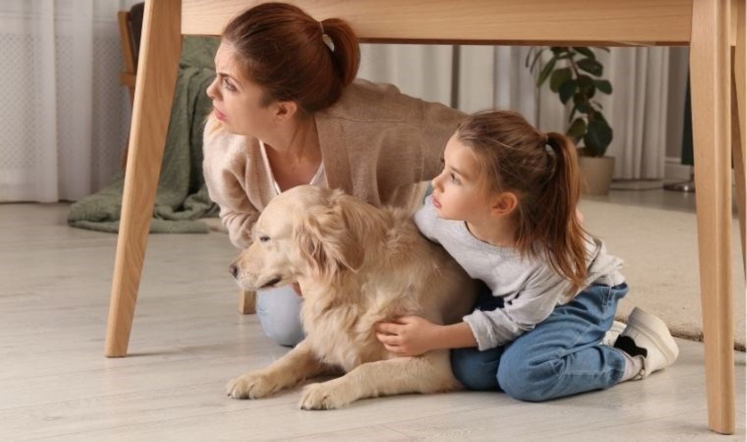 Evcil hayvanlarınız için hayati önlemler: Depremde evcil hayvanınızın güvenliğini sağlamanın ipuçları