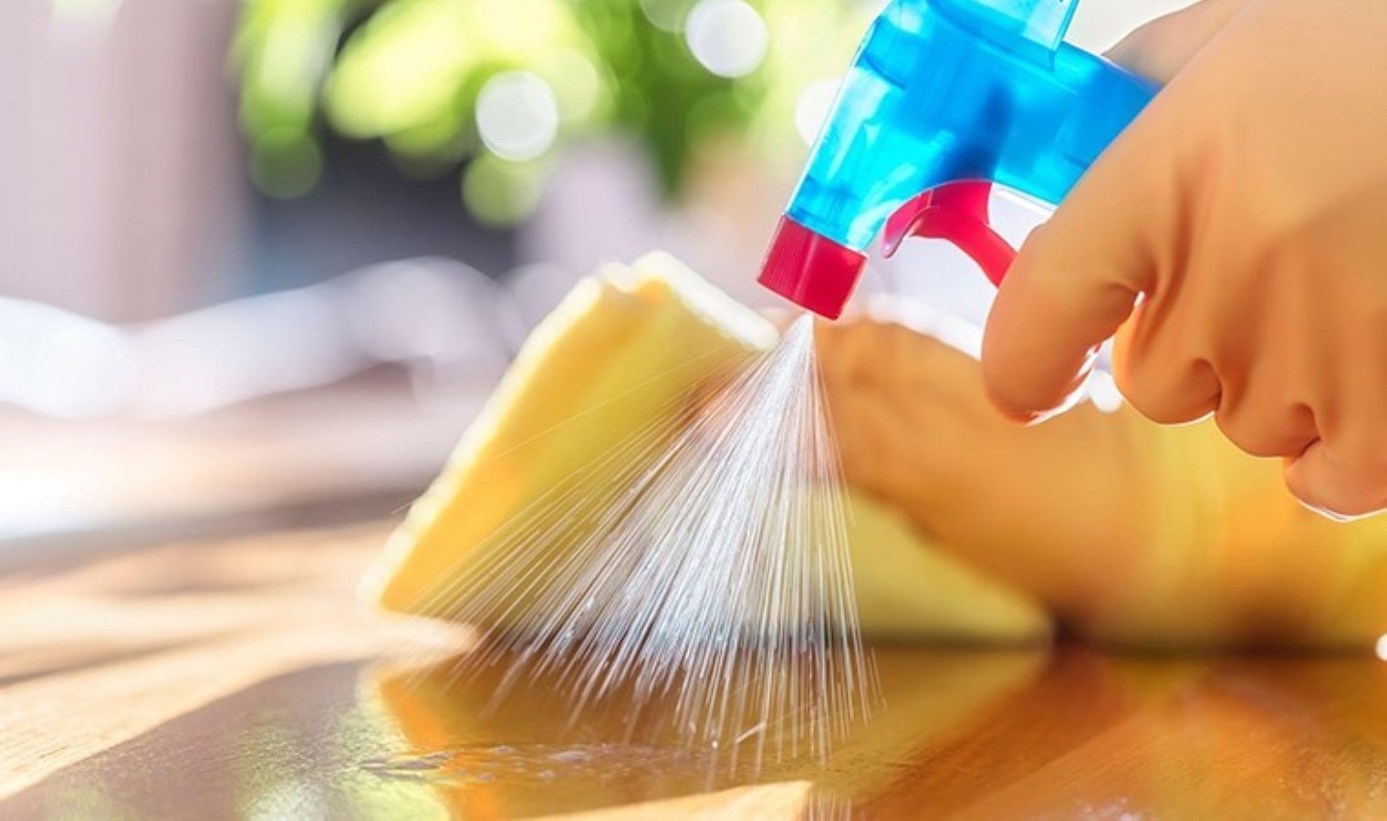Evde kullandığımız temizlik ürünleri ne kadar güvenli?