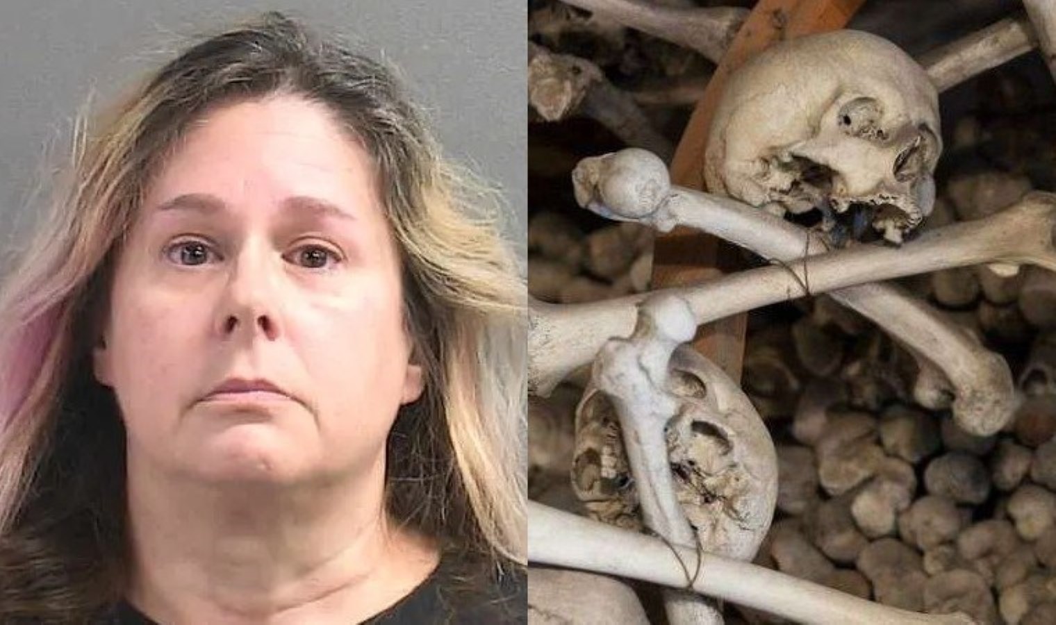 Facebook’ta insan kemikleri satışı: 35 dolara kaburga, 600 dolara kafatası