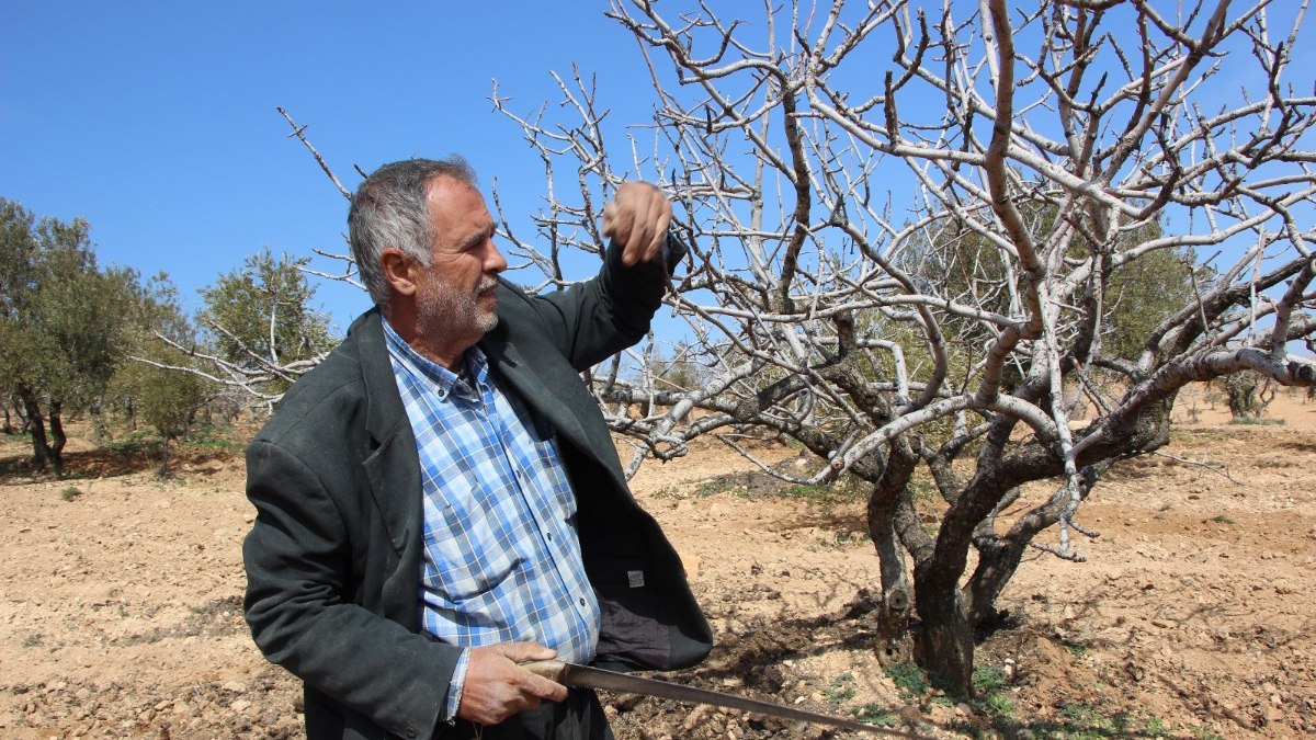 Gaziantep’te üretici gözünü bahar yağmuruna dikti