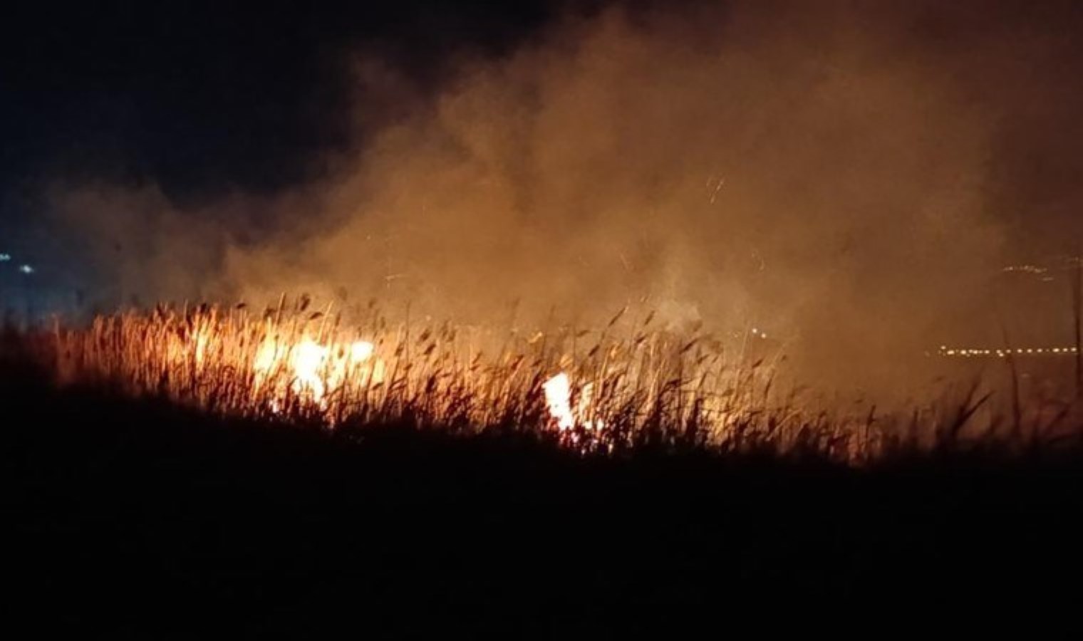 Göksu Deltası’nda yangın: ‘Yanmaktan kaçmaya çalışan yüzlerce göçmen kuş…’