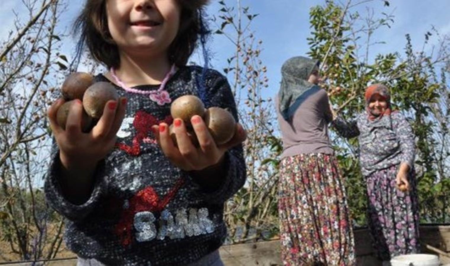 Günde 7 tane yiyince böbrekleri tertemiz yapıyor