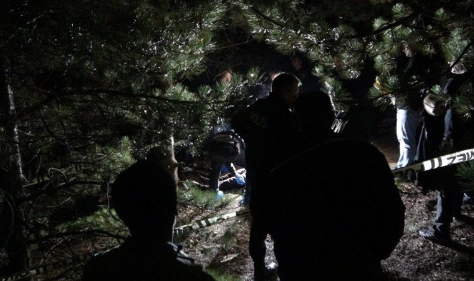 Haber alınamıyordu: 72 yaşındaki erkek ağaca asılı halde ölü bulundu