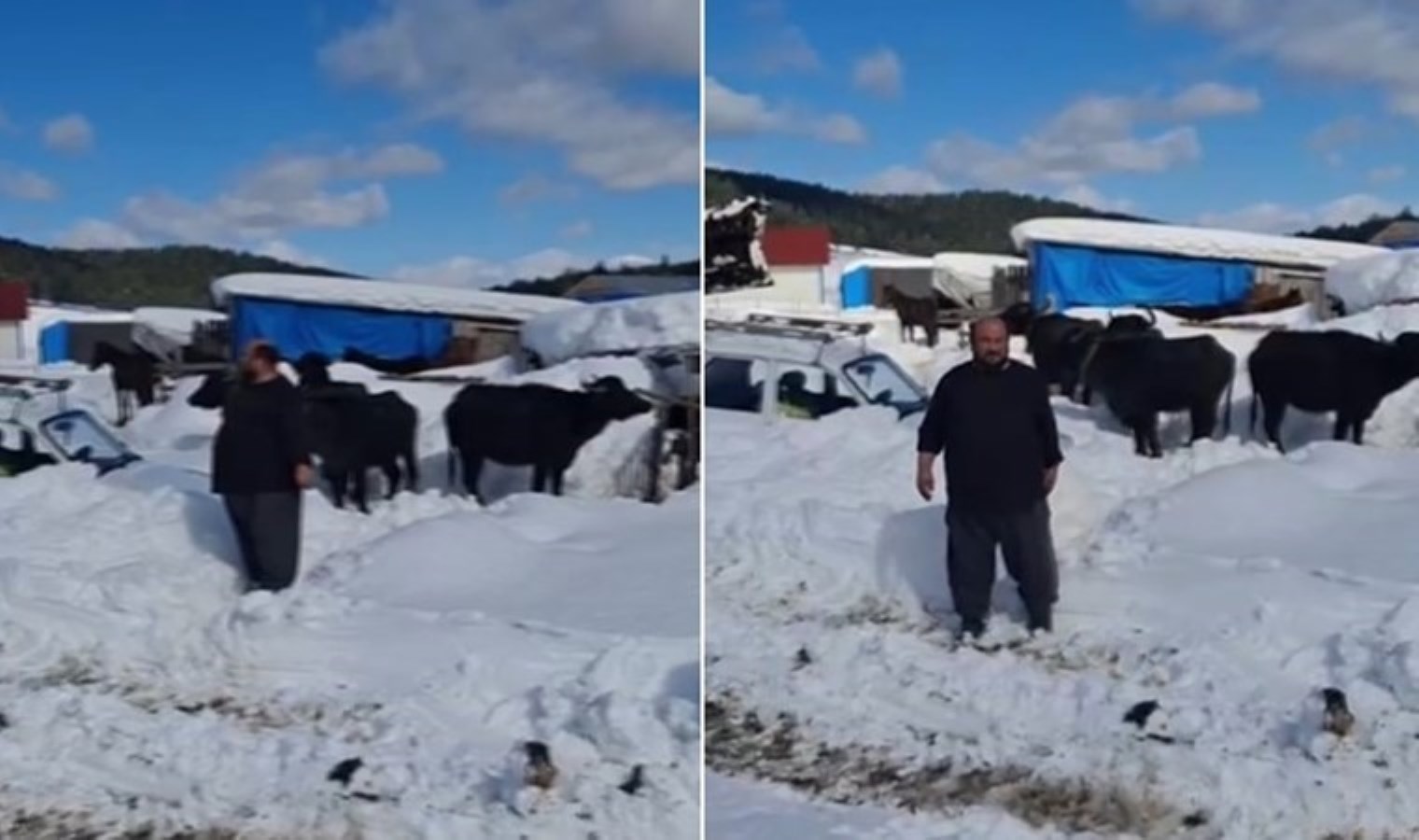 Hayvanları ile yaylada mahsur kaldı: 3 gün sonra kurtarıldı