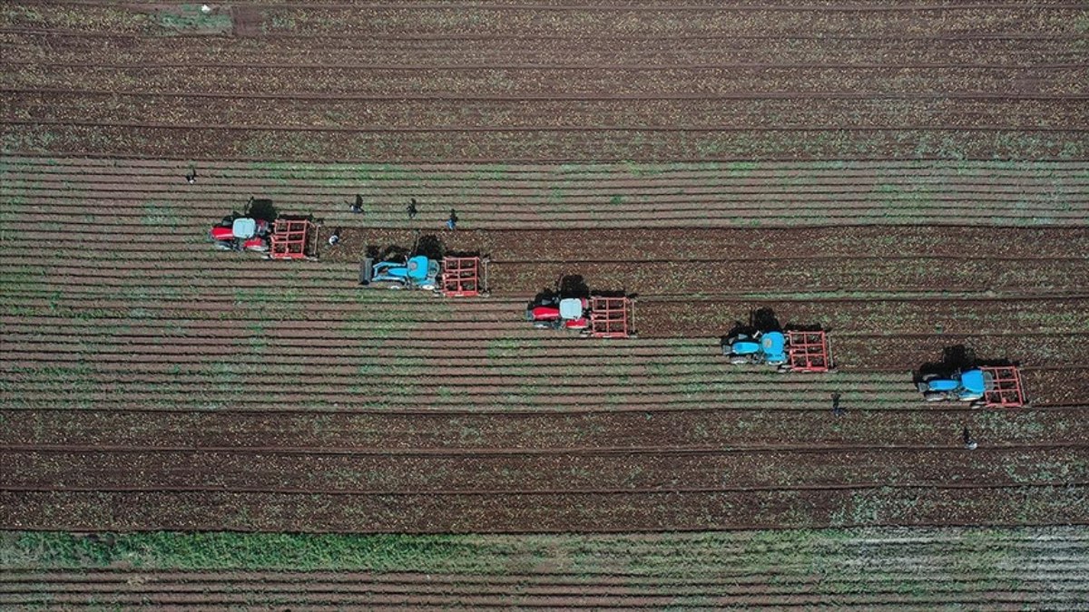 IPARD III programında 1.079 projeye, 7,2 milyar hibe verilecek