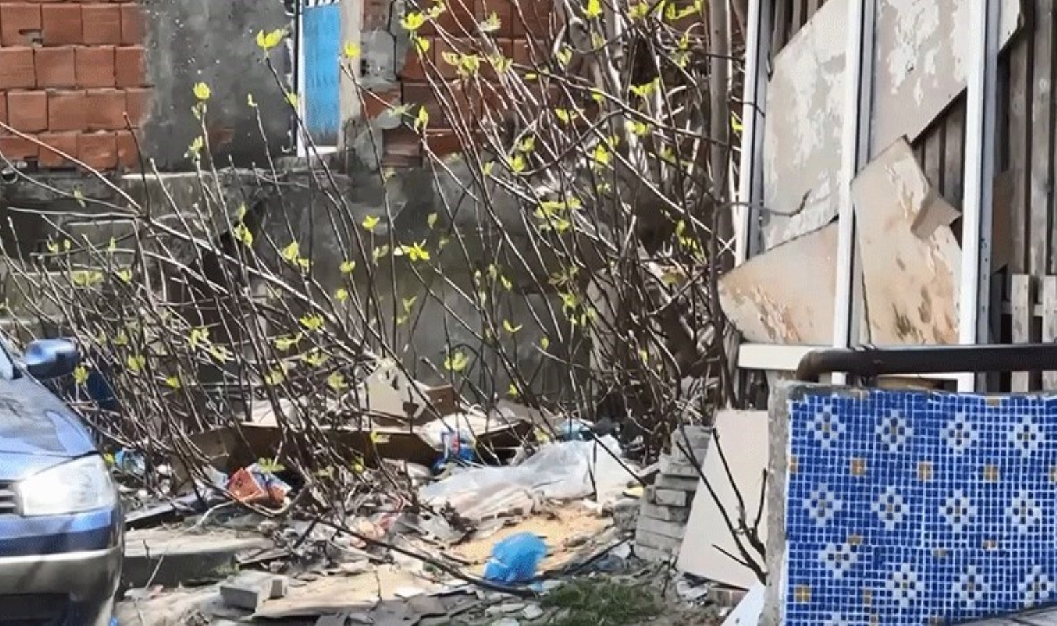 İstanbul’da korkunç cinayet: Tartıştığı arkadaşını öldürüp boş araziye attı!