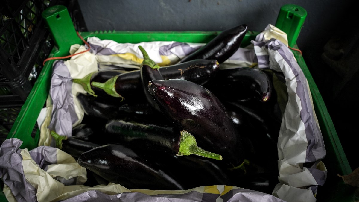 İstanbul’da patlıcan fiyatları düştü