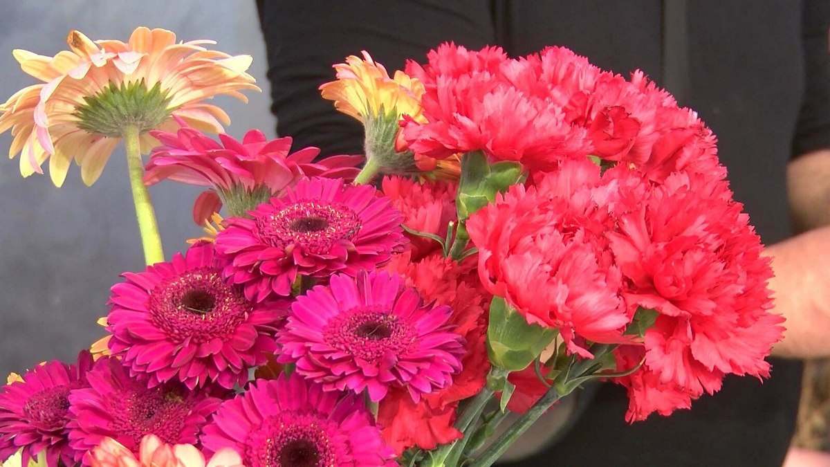 İzmir’de Kadınlar Günü öncesi çiçekçilerde hareketlilik