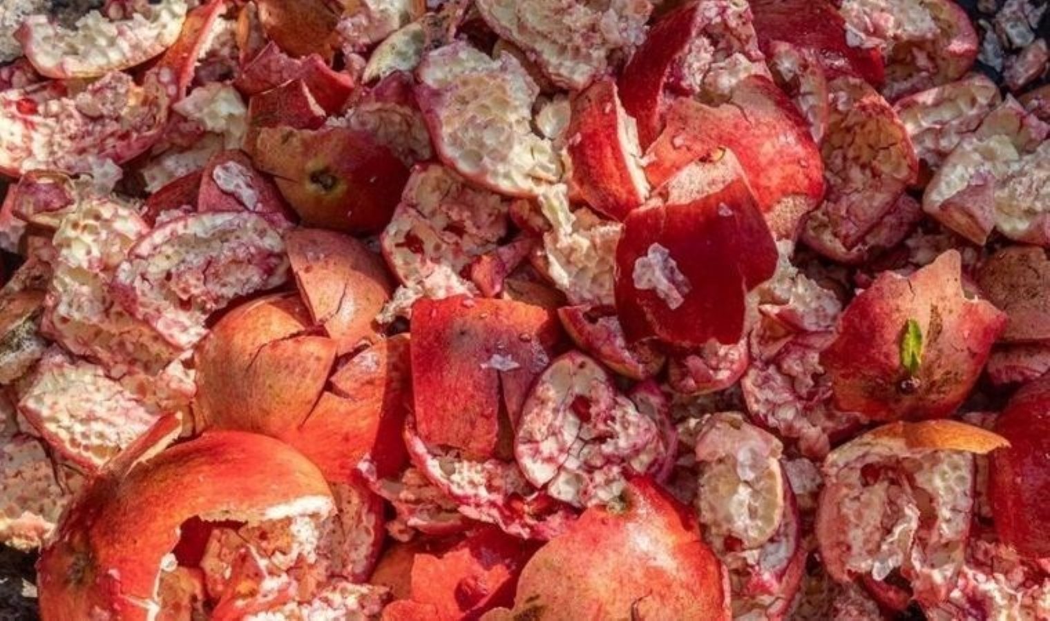 Kabuğunu kaynatıp bir bardak için! Her derde deva