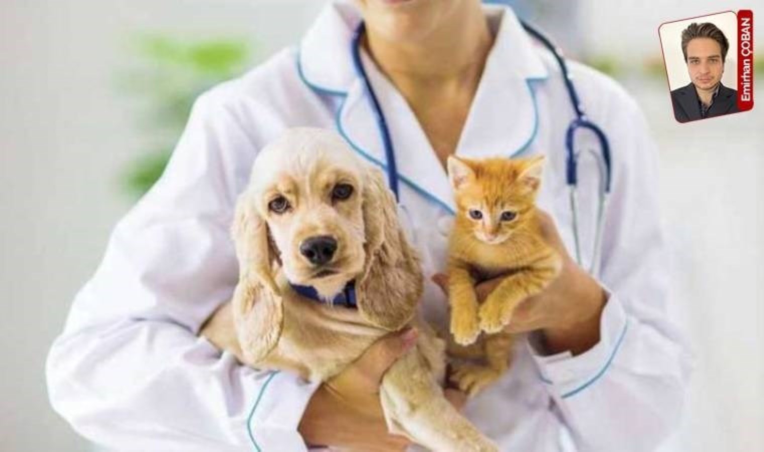 Kamuda veteriner hekimlere şaşırtan ödeme yöntemi