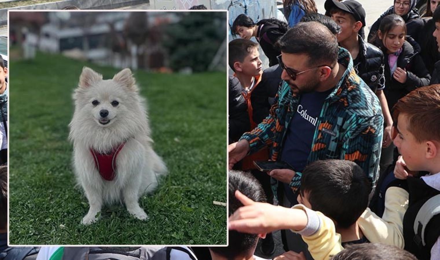 Kayıp köpeği Şeker’i bulana 50 bin lira ödül verecek