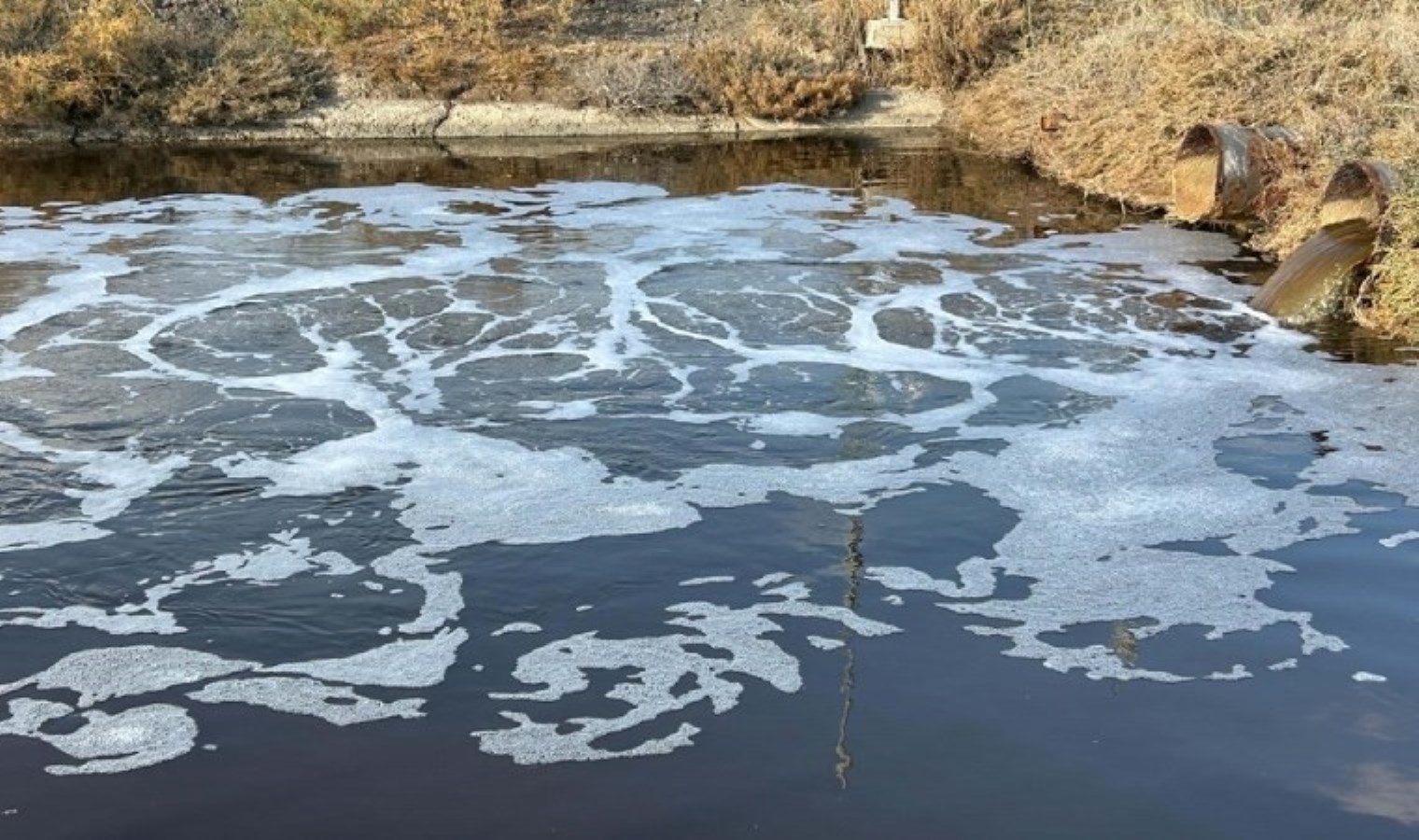Kuraklık alarm veriyor… Gediz Nehri’nde korkutan görüntü: ‘Dokunmaya korkar hale geldik’