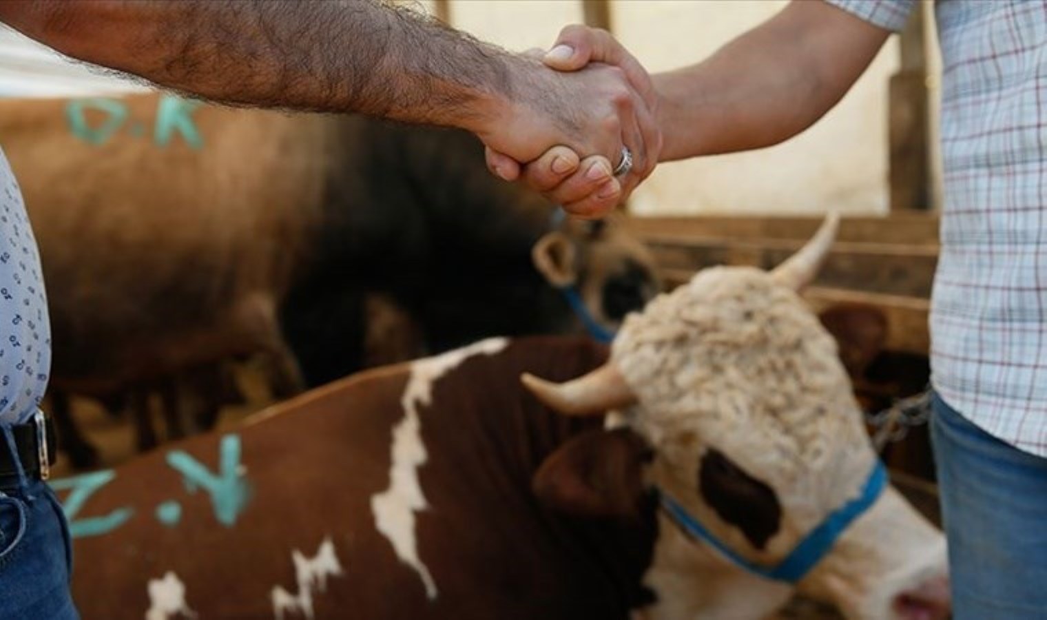 Kurban Bayramı ne zaman? Kurban Bayramı tatili kaç gün olacak?
